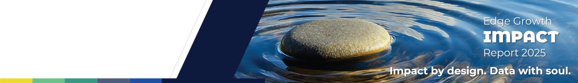 Website Banner 2025 (1)